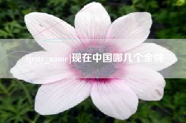 柳林现在中国哪几个金牌