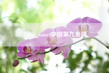柳林中国第九金牌