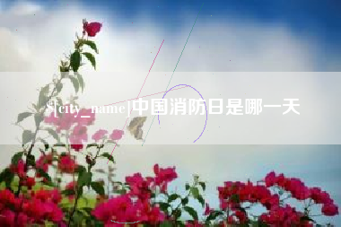 柳林中国消防日是哪一天