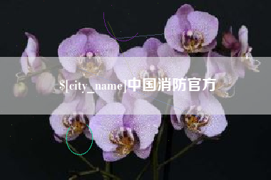 柳林中国消防官方
