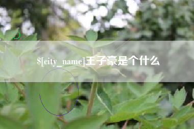柳林王子豪是个什么