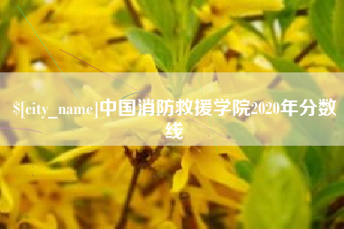 柳林中国消防救援学院2020年分数线