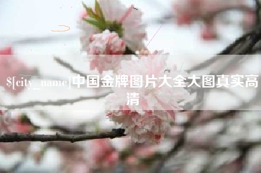 柳林中国金牌图片大全大图真实高清