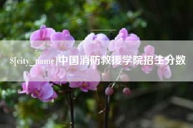 柳林中国消防救援学院招生分数