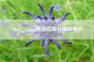 柳林地图指南针图标图片
