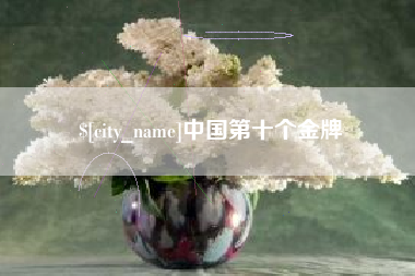 柳林中国第十个金牌