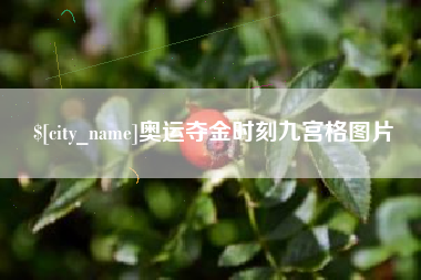 柳林奥运夺金时刻九宫格图片