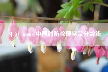 柳林中国消防救援学院分数线