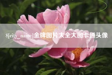 柳林金牌图片大全大图卡通头像 柳林金牌图片大全大图卡通头像