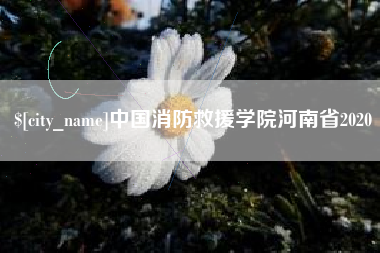 柳林中国消防救援学院河南省2020